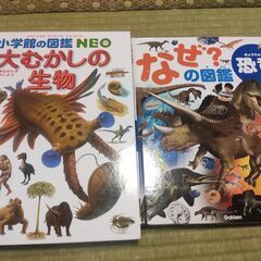 図鑑　４つセットの画像
