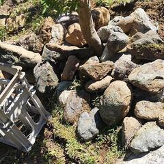 庭石　ガーデニング　の画像