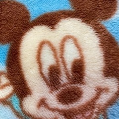スリーパー　暖かい　ディズニーの画像