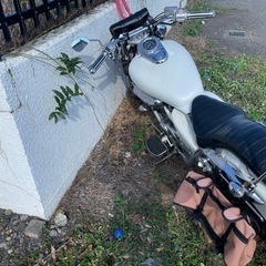 V twinマグナ250の画像