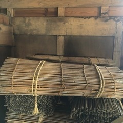 農業　マルチ