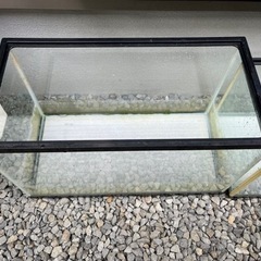 水槽　3個セット　メダカ　カメ　飼育用
