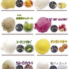 おもけんマルシェで徳之島ジェラート販売