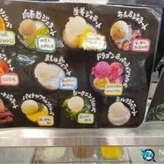 おもけんマルシェで徳之島ジェラート販売の画像