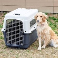 大型犬用のクレート、バリケンネルを探しています