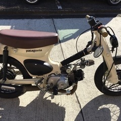 リトルカブの画像