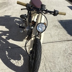 リトルカブの画像