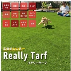 【人工芝】デュポン社  リアリーターフ 25mm ミドル