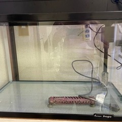 中古　水槽セット　60センチ　60cm×30cm×36cm