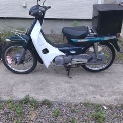 タイカブ  100cc！ カブ