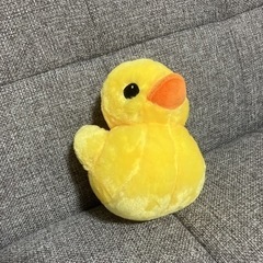 小さなアヒル