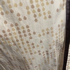 アクリルコーティング シャカシャカ素材の長袖シャツの画像