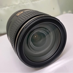 Nikon AF-S NIKKOR 24-120mm f/4G ED VRの画像