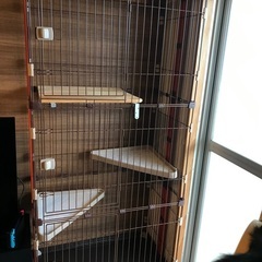 キャットゲージ３段　猫の画像