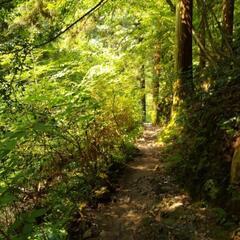 雨天中止【4名募集(定員)】9/24高尾山〜相模湖へ登山 - 友達