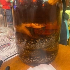 9/13(火)那覇市あたりで飲める方々ー！！
