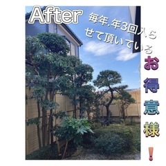 本庄市で庭木剪定ならお任せください。