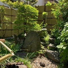 本庄市で庭木剪定ならお任せください。の画像