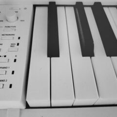 千葉市原市/CASIO電子ピアノ極美品セルビアーノAP470の画像