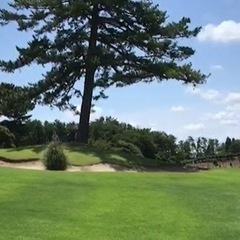 早朝ゴルフメンバー募集（茨城〜千葉）