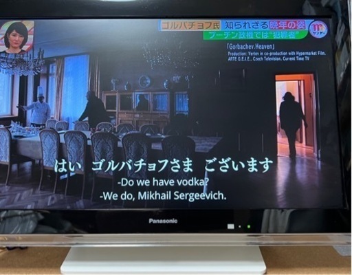 美品 Panasonic ビエラ 小型TV 19インチ 地デジ HDMI入力 BS CS 純正リモコン 純正ACアダプタ