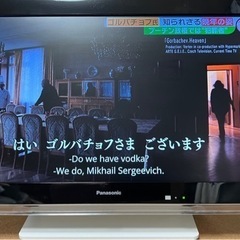 美品 Panasonic ビエラ 小型TV 19インチ 地デジ HDMI入力 BS CS 純正リモコン 純正ACアダプタの画像