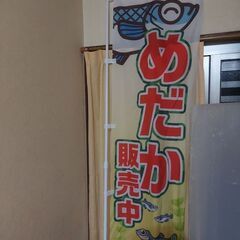 メダカのぼり旗🐟️(完売)