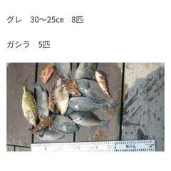 釣りキャンしませんか？ - 伊勢市