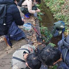 自然学校開催中
