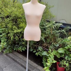 トルソー