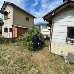 枯れ草や枯れ木🔥キャンプで使えます👌の画像