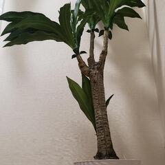 観葉植物【フェイクグリーン】の画像