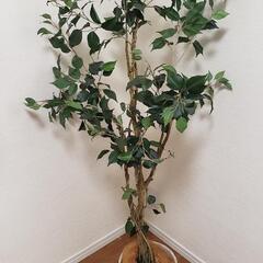 観葉植物【フェイクグリーン】の画像