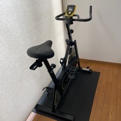9/13まで掲載) スピンバイク　アルインコ フロアマット付の画像