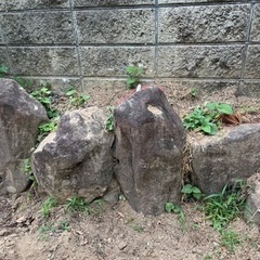 庭石 無料 取りに来てくださる方