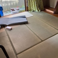 使用期間1年の畳　8枚の画像