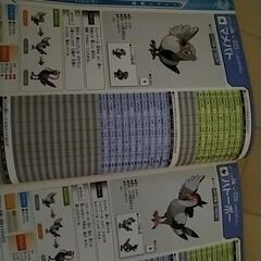 ポケモン　ガイドブックの画像