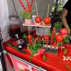 短期バイト募集！札幌大通公園ライラック祭りの画像