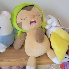 ポケモンセンター購入ぬいぐるみ
