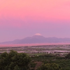 一緒に写真撮りにいきませんか？ − 熊本県