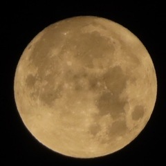 一緒に写真撮りにいきませんか？ - メンバー募集