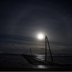 一緒に写真撮りにいきませんか？ - 友達