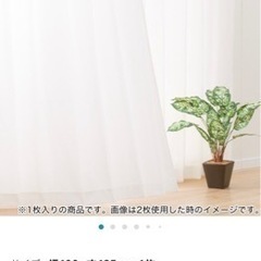 ニトリ　カーテン　引き渡し先決定の画像