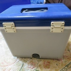 小さめ　クーラーボックスの画像