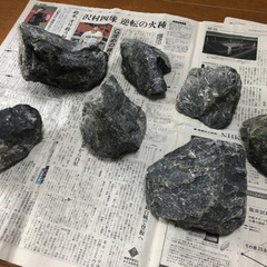 値下げアクアリウム　石　7→15個　※個数選択可能