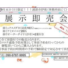 展示販売を開催します。（告知）