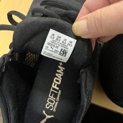 試着のみ　新品同様　PUMA スニーカー　24.5㎝の画像