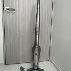 エレクトラックス　エルゴラピード