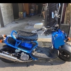ホンダ　ズーマーの画像
