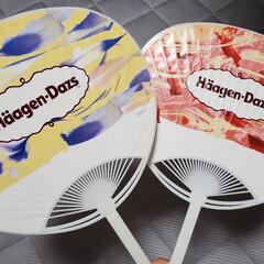 空き缶 うちわ はらぺこあおむし ハーゲンダッツの画像
